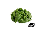 Genovese Basil - Delidrop