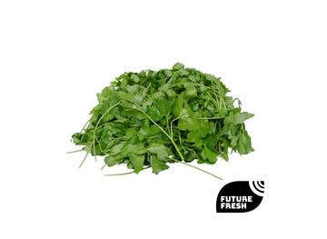 Italian Flat-Leaf Parsley