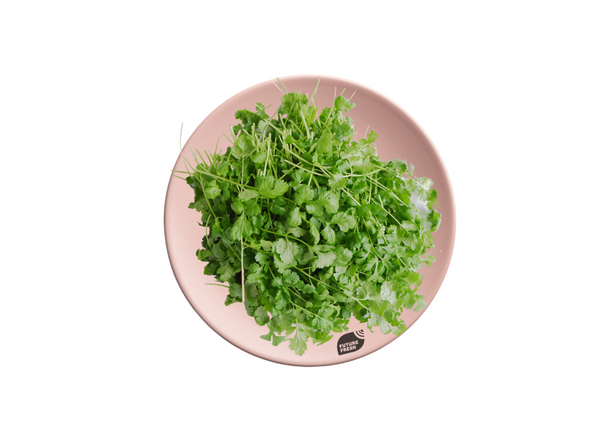 Coriander Wansoy - Delidrop