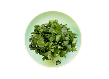 Italian Flat-Leaf Parsley