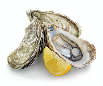 Live Pacific Oysters